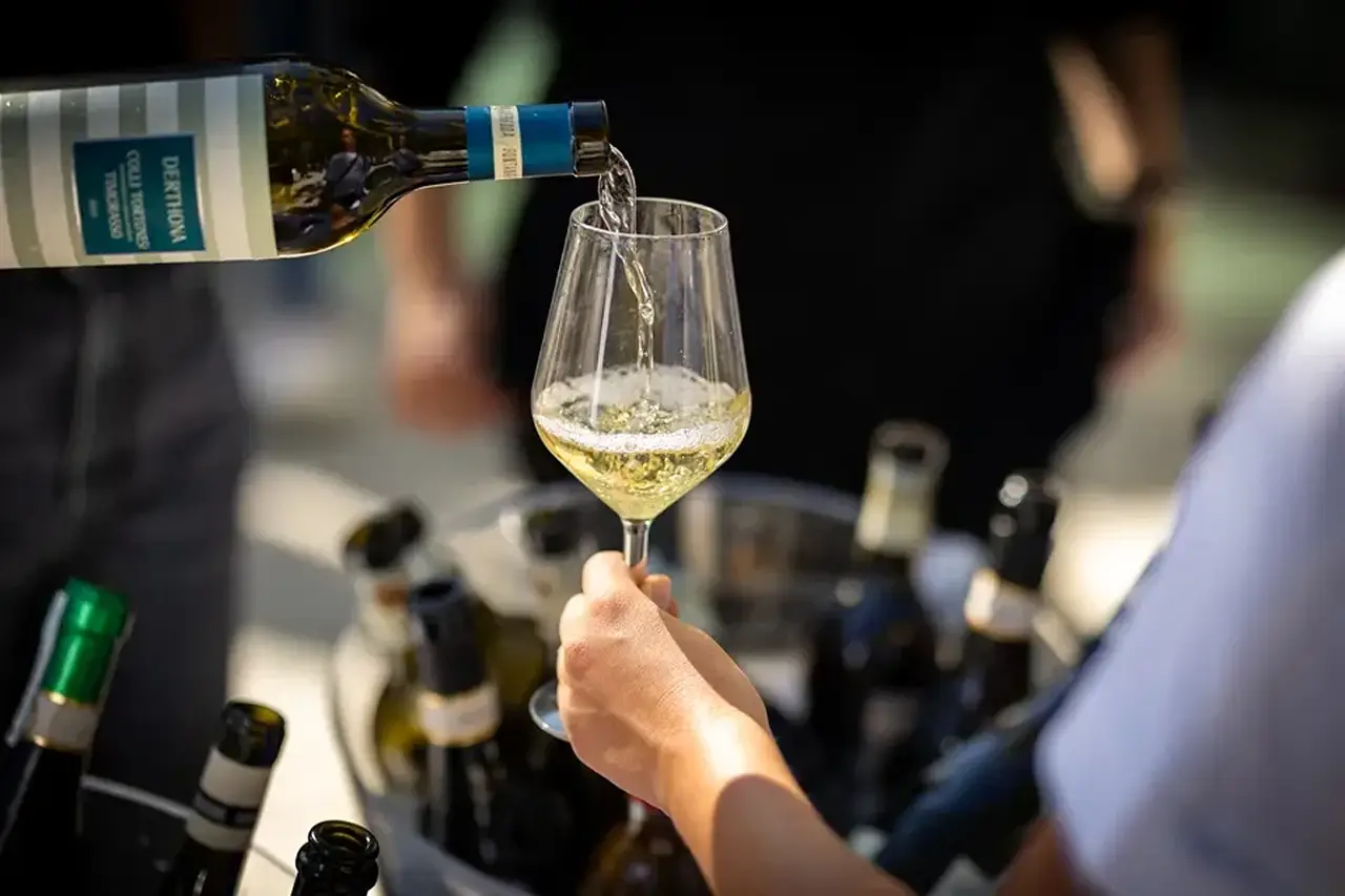 Degustando-festa-della-Vendemmia-2024