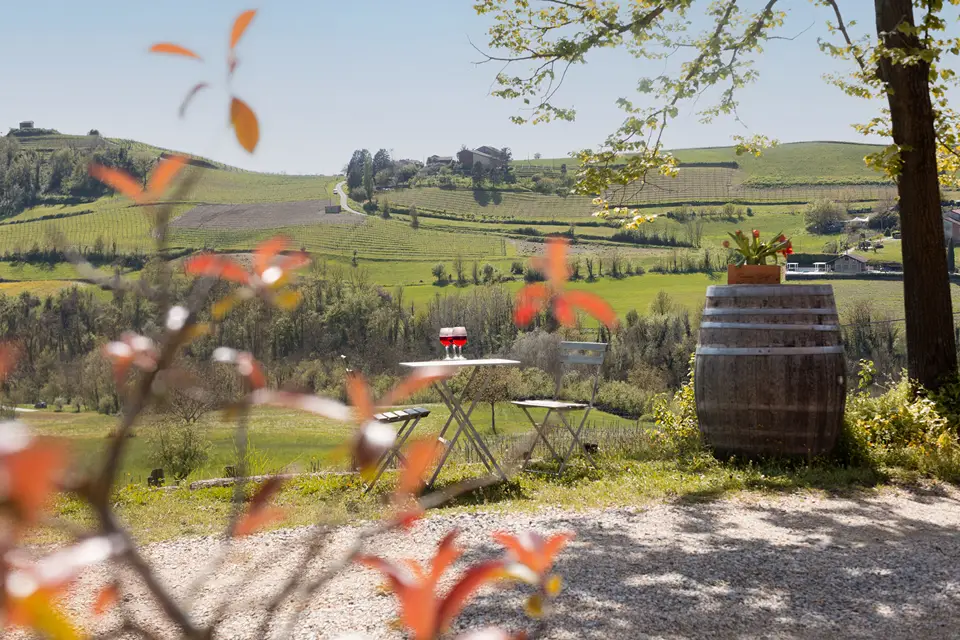 Cascina Gilli - Vino