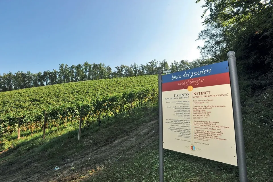 Il bosco dei pensieri presso il villaggio narrante in fontanfredda